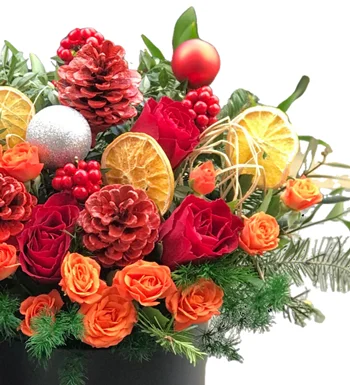 Christmas Kutu