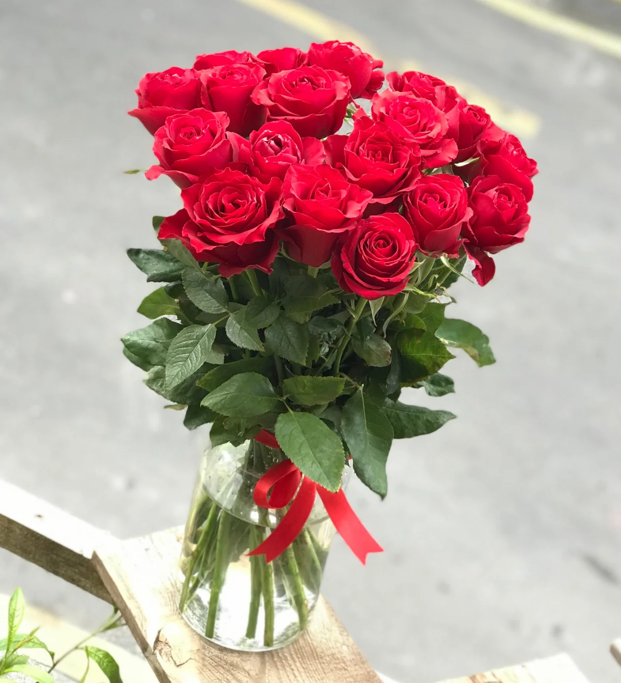 Festa Vip Kırmızı Güller