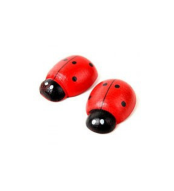 Floksia Uğur Böceği