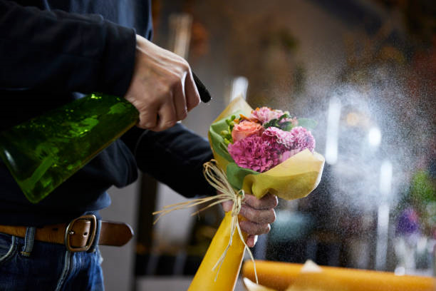 şişhane çiçek siparişi, beyoğlu şişhane çiçek,