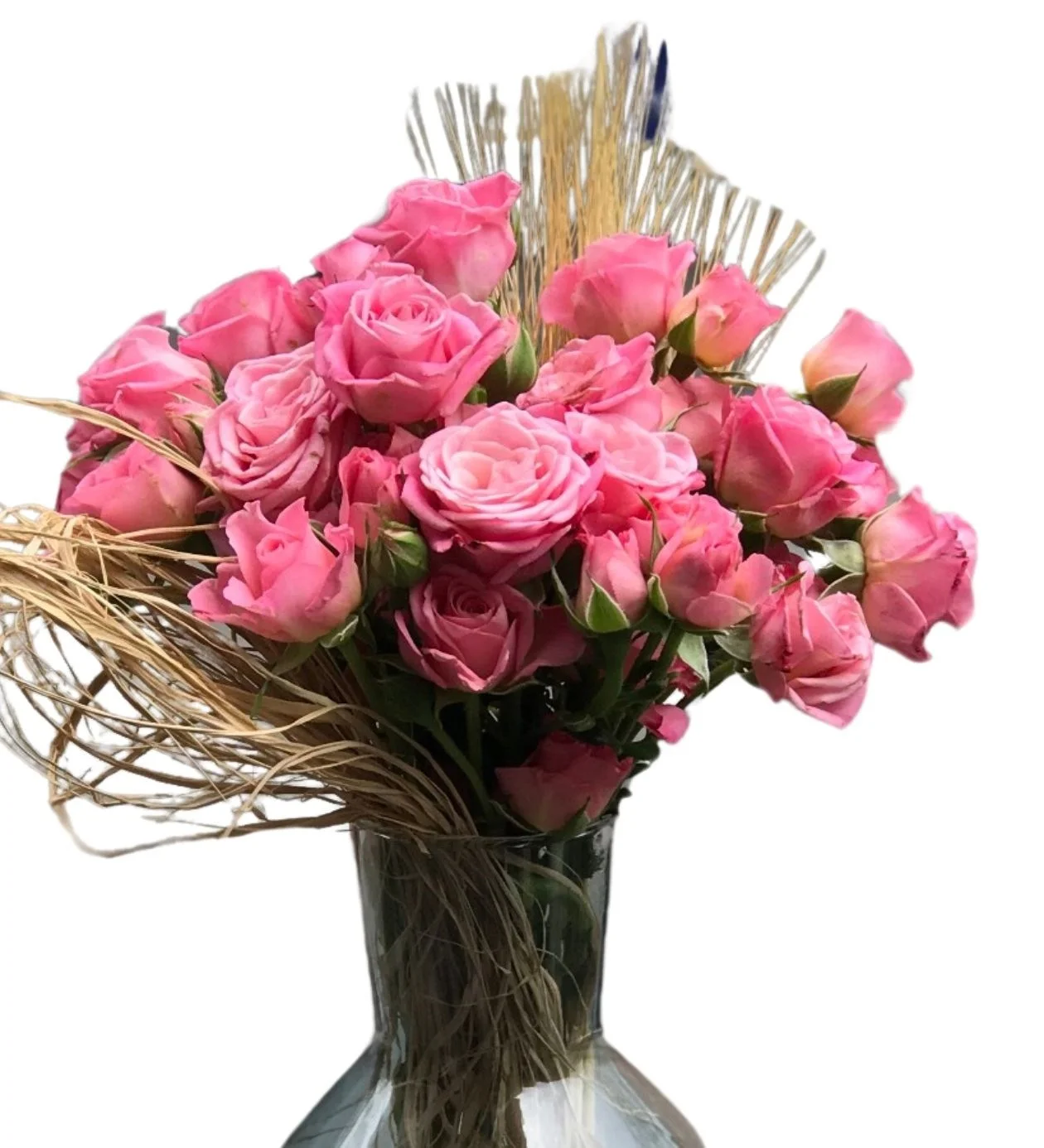 Festa Pembe Çardak Güller