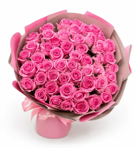 51 Pink Rose