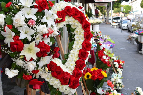 kasımpaşa çiçek siparişi, çiçek siparişi vermek, çiçek almak