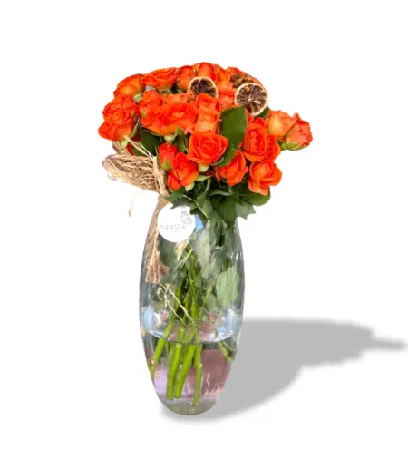 Orange Dream