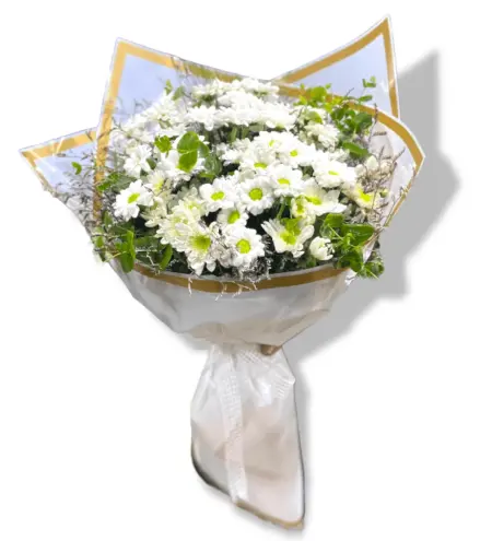 White Daisy