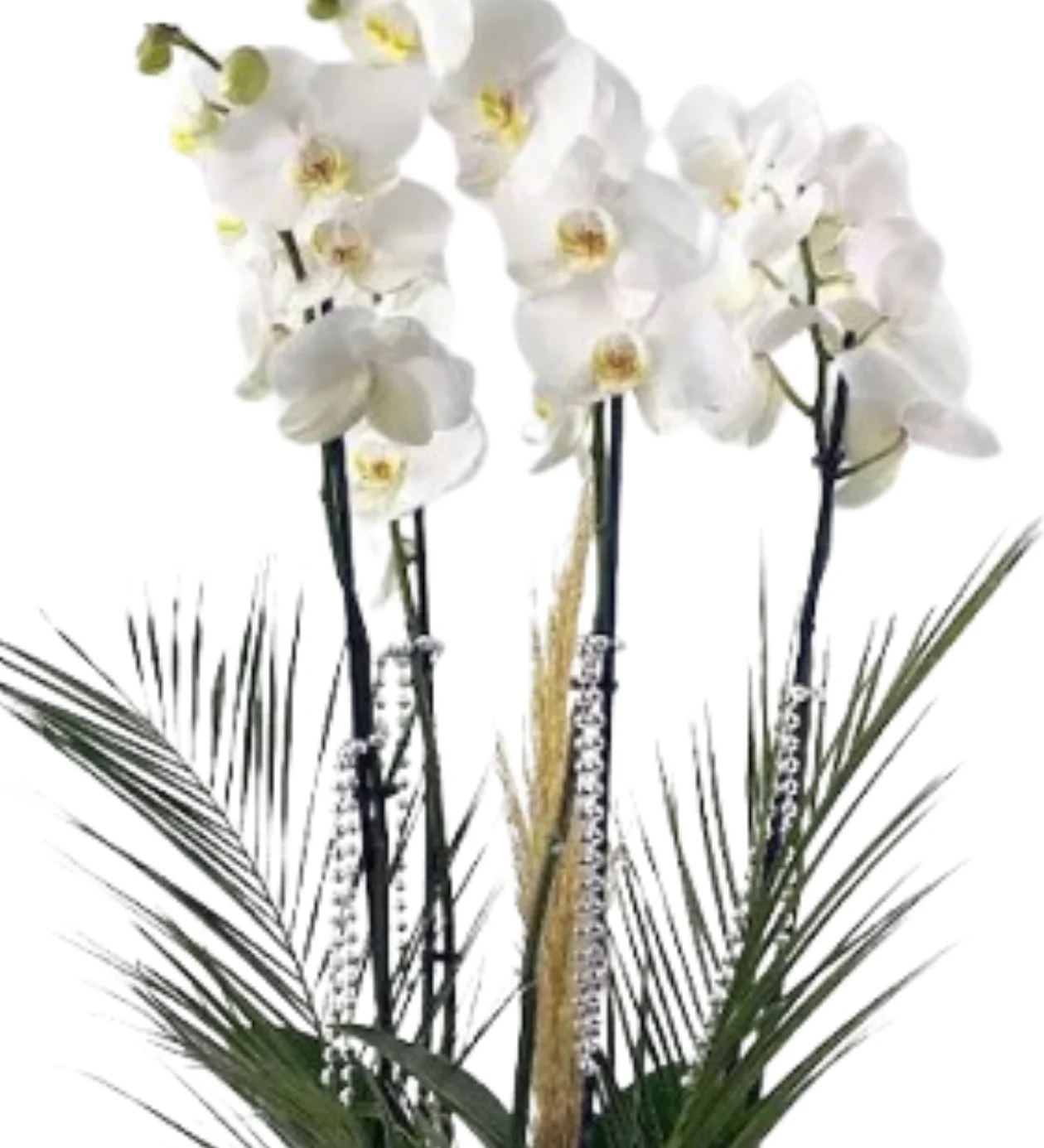 White Orchid Desing